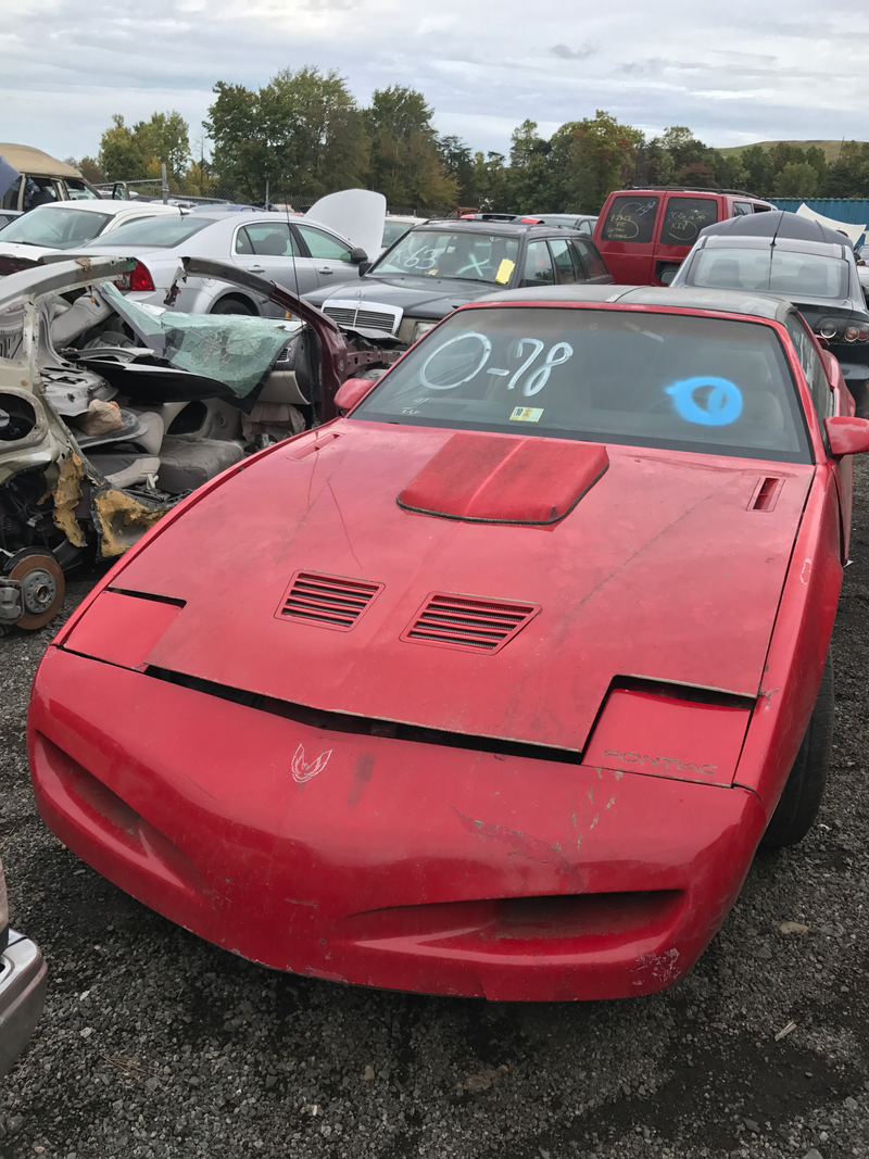 Old Firebird. Not sure if I want to know what happened to the car to its left.